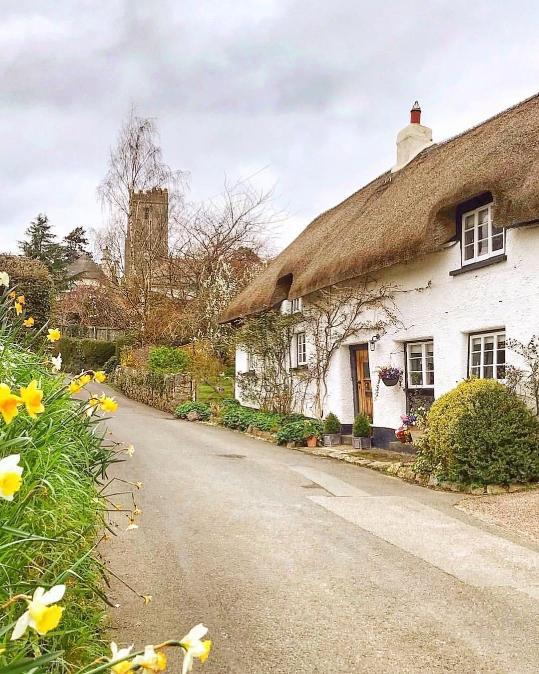 Thatched cottage in Devon. Photo by Living in Devon