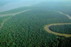 Aerial view of the Amazon Rainforest