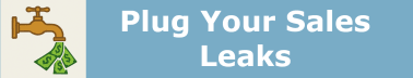 Plug Your Sales Leaks