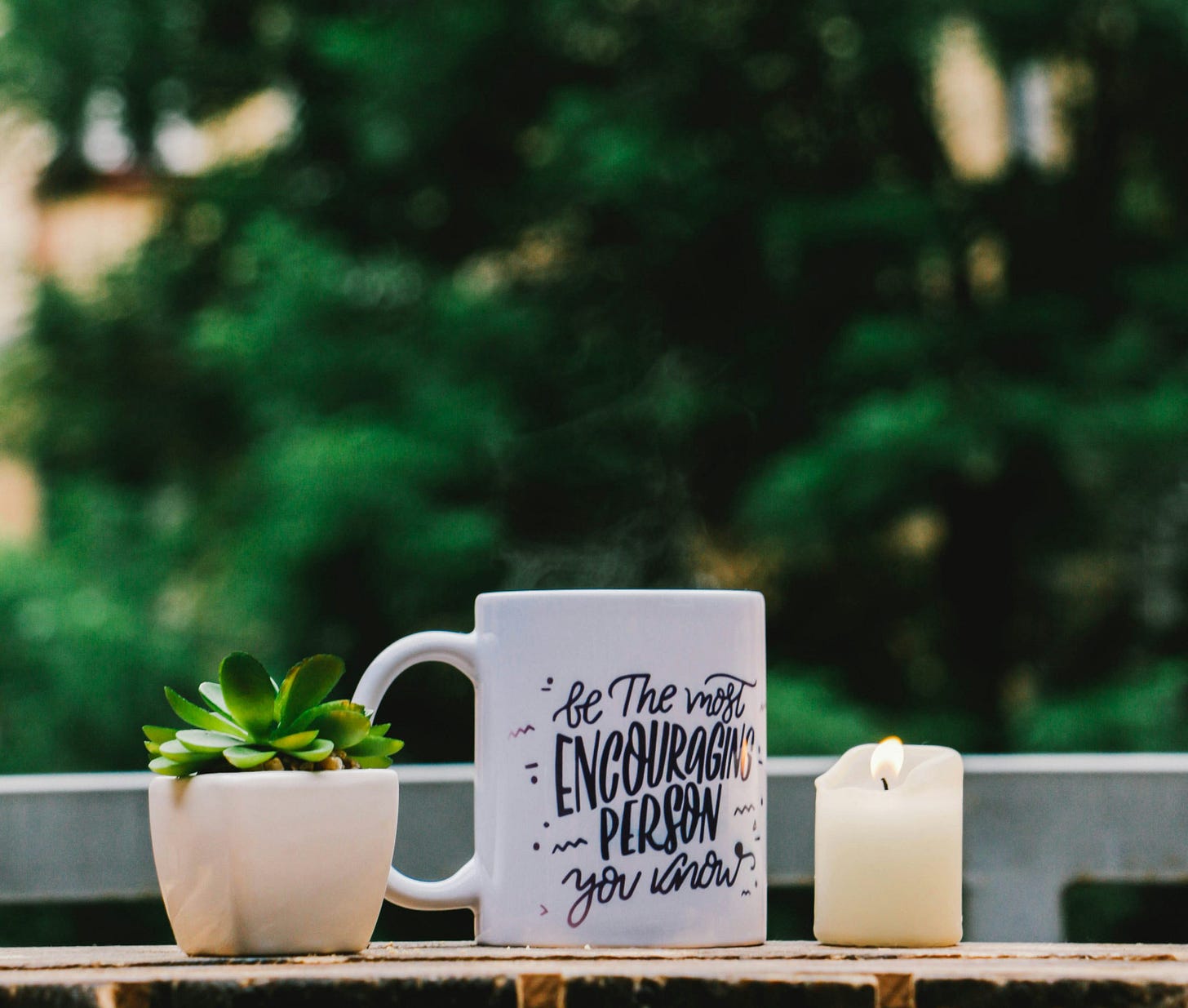 shallow focus photography of white mug and succulent plant on table