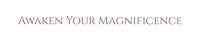 Awaken Your Magnificence
