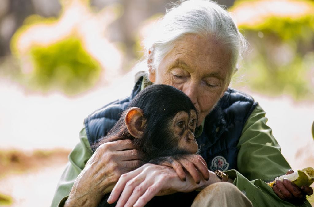 When Jane Goodall Destroyed Elon Musk