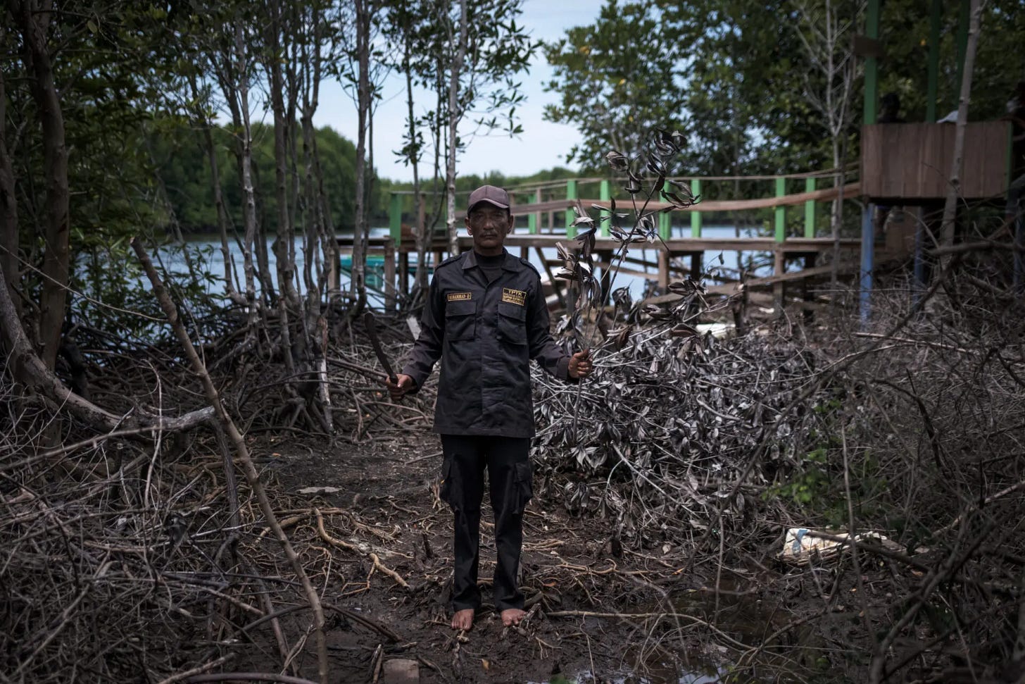 A ranger in a destroyed mangrove.

