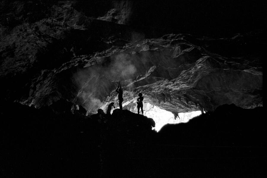 Men shooting arrows at bats in a cave.