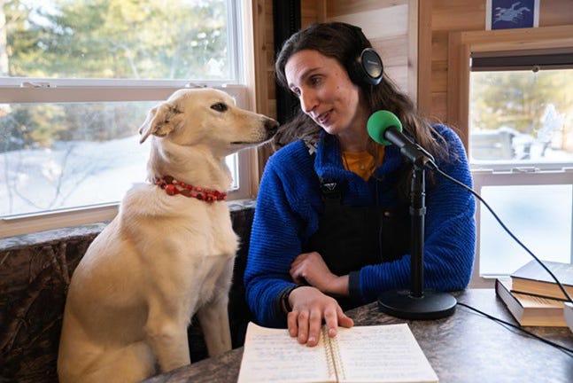 Woman with long curly hair, talking into a microphone in a studio. She is lookjing to her right at a dignified white husky named Flame.