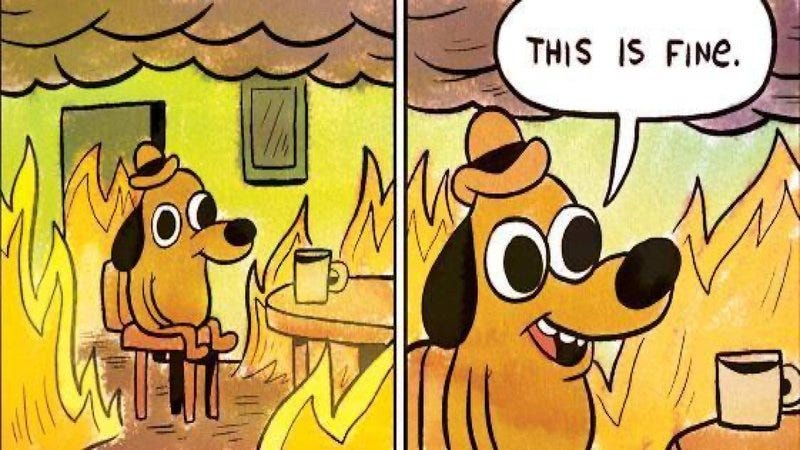 The "This is fine" meme, showing two cartoon panels. The lefthand panel shows a dog that's wearing a little hat, sitting on a chair at a table that holds a mug, presumably filled with coffee or tea. The room around the dog is on fire, and the ceiling is covered in thick clouds of smoke. In the righthand panel we see a closeup of the dog, who is saying "This is fine" in a speech bubble.