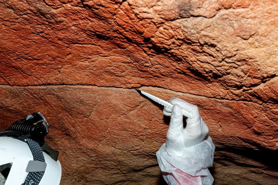 Scientists Pull Human DNA Straight Off Cave Walls for the First Time