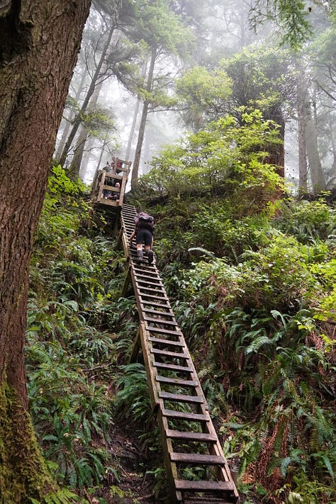 What the trail taught me about patience, presence, and leading from within.