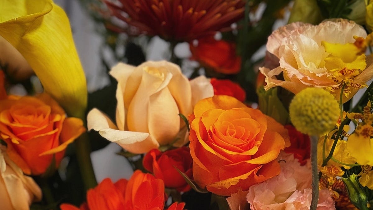 Guys, I Found Love in a Flower Shop…