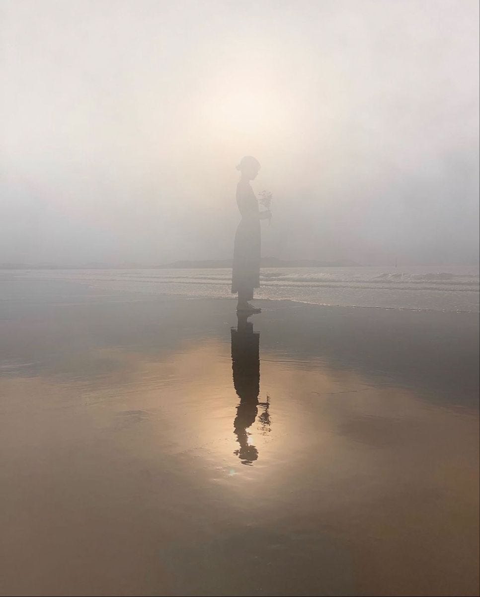 May be an image of twilight and ocean