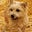 Bert B's avatar