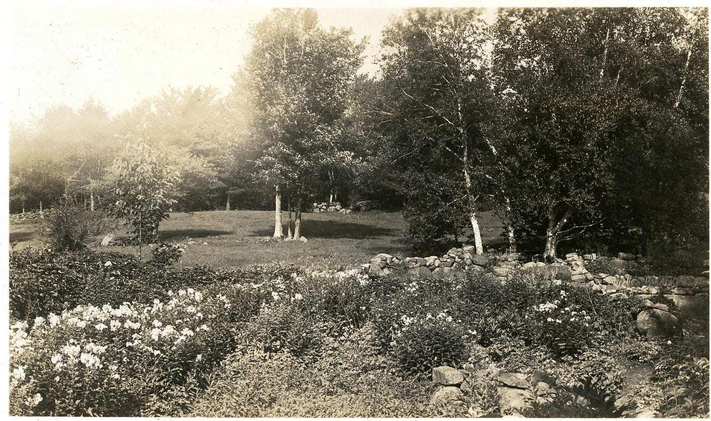 Flower bed, rock wall and clumps of trees