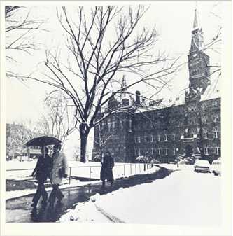 image7.png, Picture