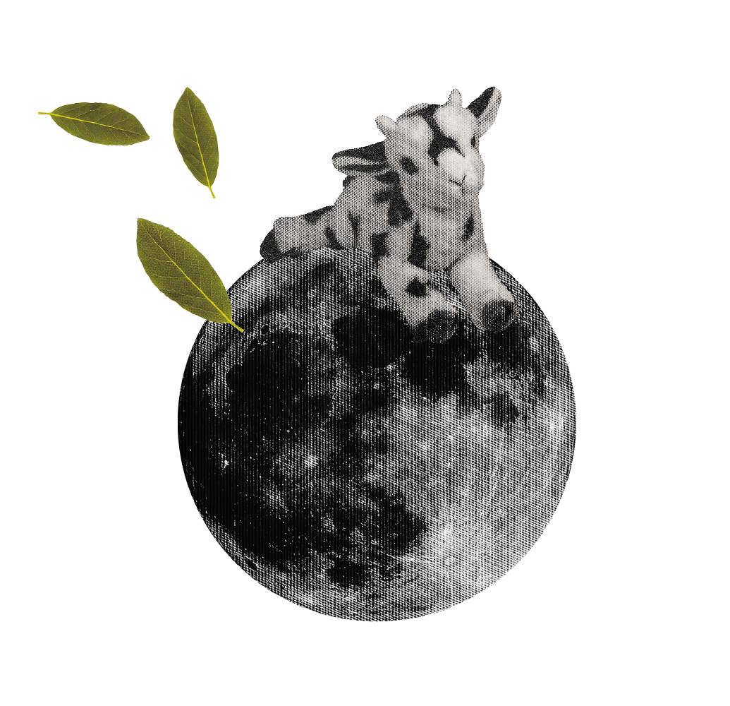 Collage of a goat plushie on a Full Moon with green bay leaves for the Full Moon in Capricorn. Link to the CHANI app.