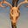 Faye Grearson's avatar
