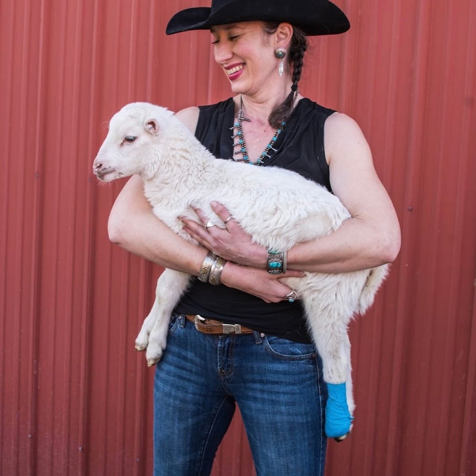 Artwork for The Fearless Female Farmer Substack