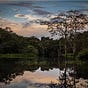 The Healing River's avatar