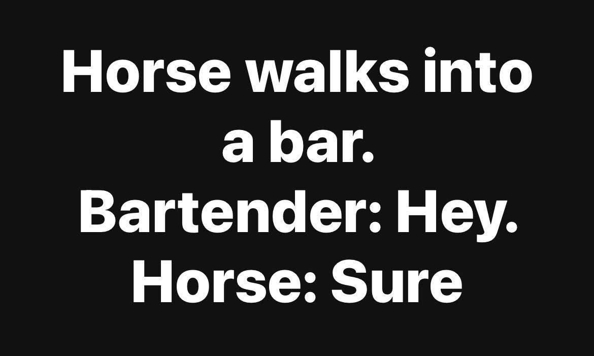 May be an image of horse and text that says 'Horse walks into a bar. Bartender: Hey. Horse: Sure'