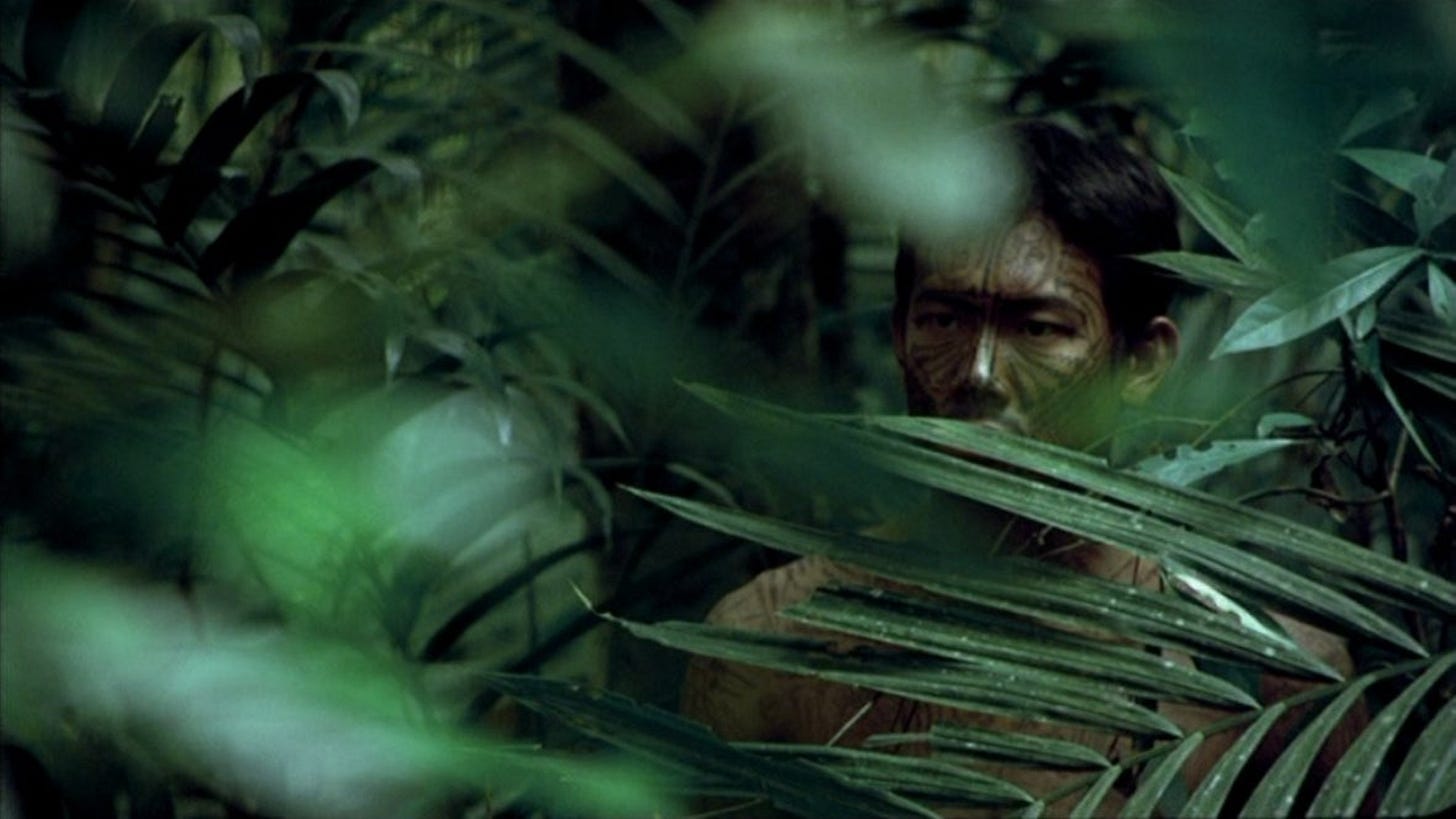 Tropical Malady | Still features a man through the leaves in a jungle.