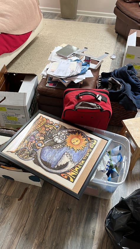A gray tabby cat sits with front paws on the floor. A boy child with dark curly hair squints at the solar eclipse through eclipse goggles, holding his hands to the edges of the goggles. A sunset is visible through spring flowering trees. A pile of framed posters and suitcases and other belongings sits in the center of a room. Another gray tabby with white paws holds the hand of a human and looks into the camera. A lake's surface glitters in the sun behind a black wrought iron fence. A magnet and a post-it note with the words May 9th are stuck to a stainless steel surface. A human hand holds a crochet hook above a purple crocheted scarf. A pin reads, Matzah Balls Not Border Walls.