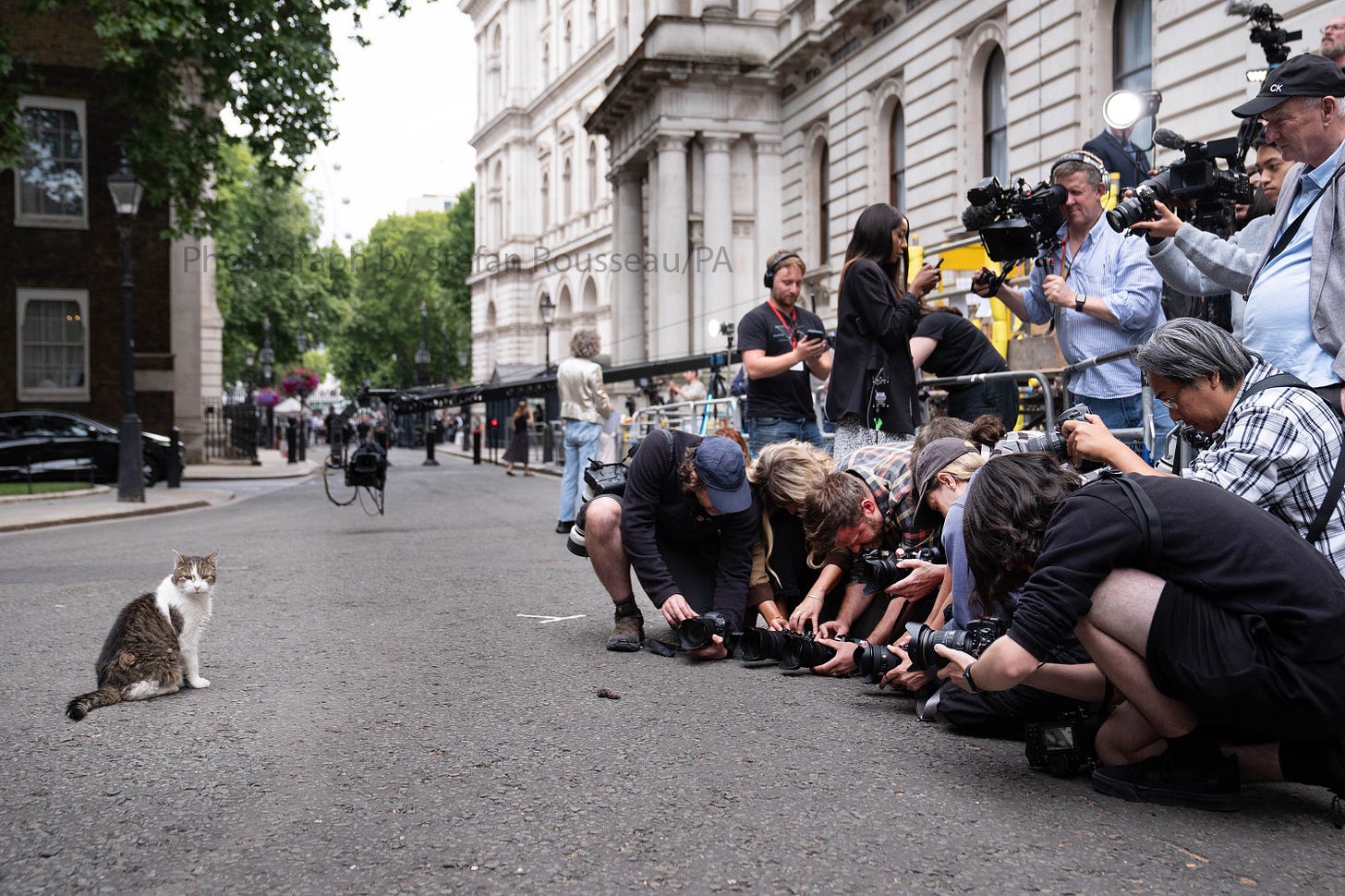 members of the press photographing a dead mouse caught by Larry
