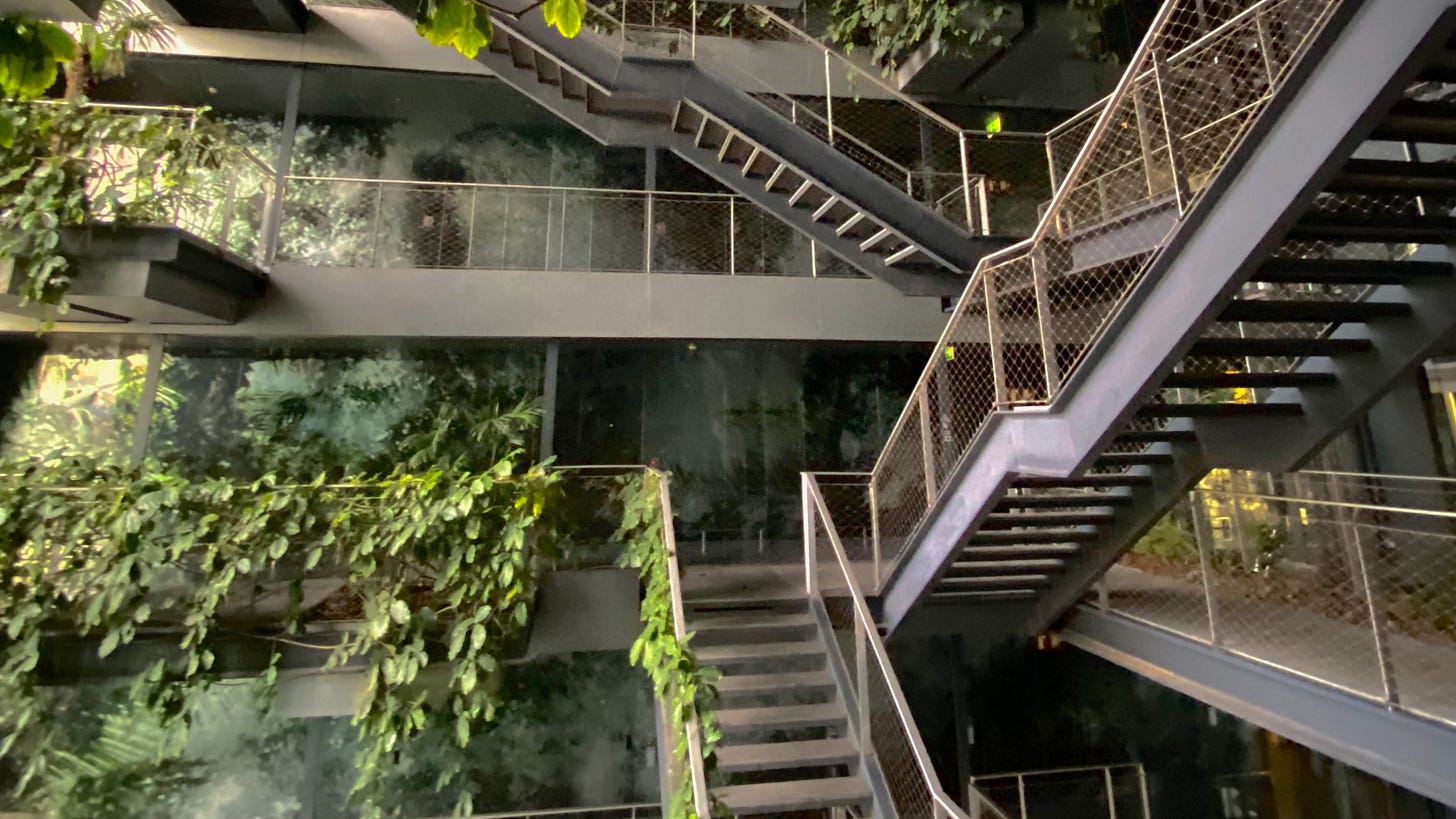 A jungle in the hotel A jungle in the hotel