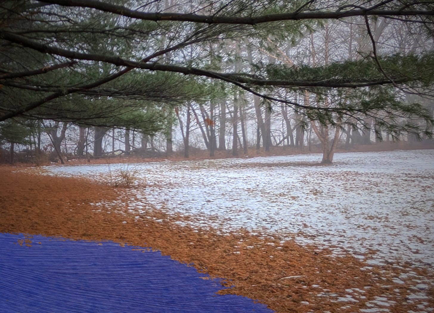 A brushstroke of blue paint on the shores of dead grass, leaves and pine needles giving way to a spotty covering of snow. Branches of pine trees frame the top of the image, preserving the modesty of a white birch in the distance with only a line of maples upon a canvas of fog allowed such intimacy. A brushstroke of blue paint on the shores of dead grass, leaves and pine needles giving way to a spotty covering of snow. Branches of pine trees frame the top of the image, preserving the modesty of a white birch in the distance with only a line of maples upon a canvas of fog allowed such intimacy.
