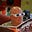 Rob K's avatar