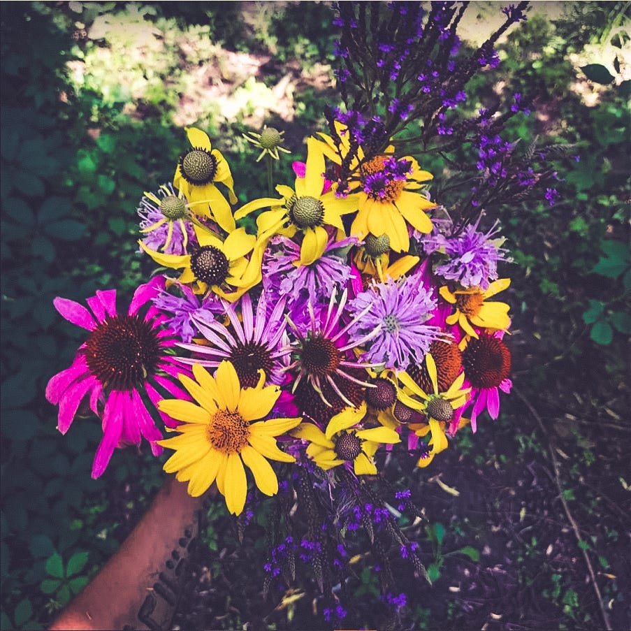 Under the Linden Tree
