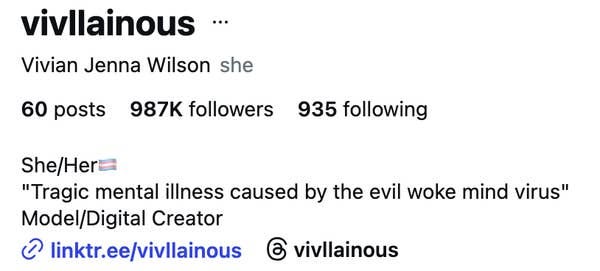 Social media profile screenshot with username, pronouns, followers, and a quote on mental illness