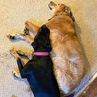 The first Volts podcast! 