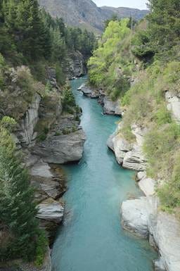A river between rocks with trees with Shotover River in the background

Description automatically generated