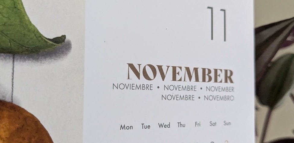 A calendar showing the month of November