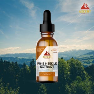 pine needle extract