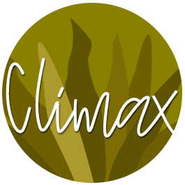 Substack profile picture for @climax