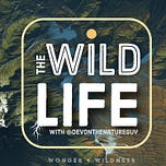 The Wild Life with Devon the Nature Guy