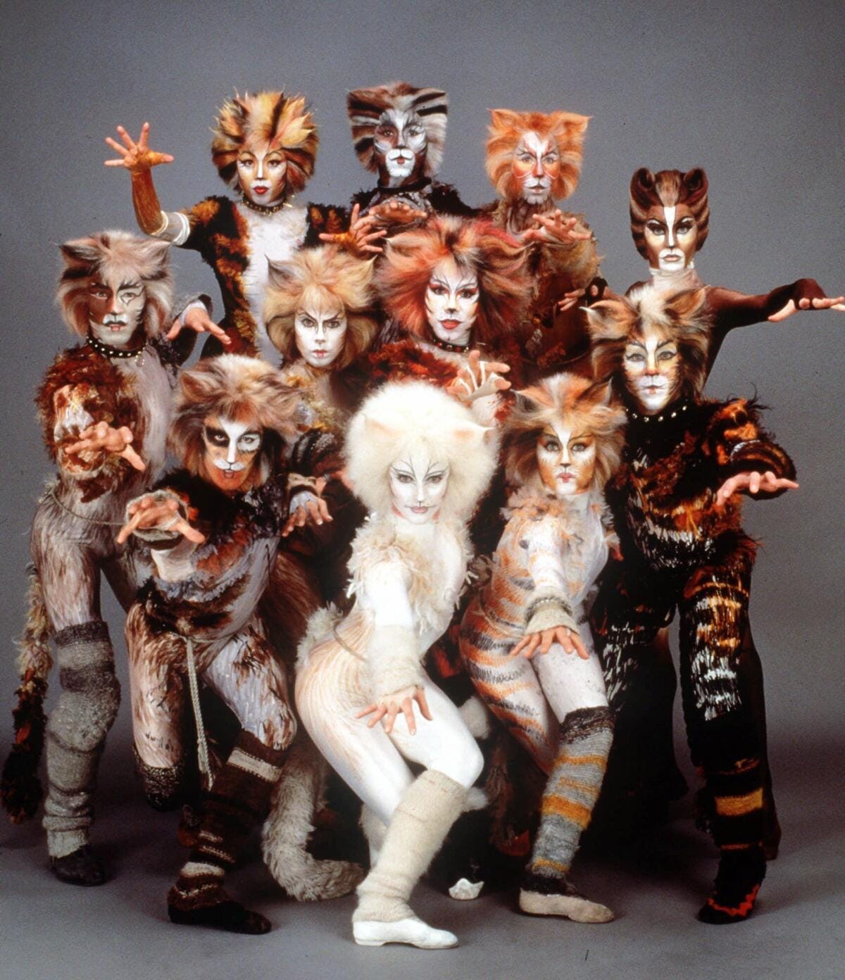 The cast of the stage musical "Cats" The cast of the stage musical "Cats"