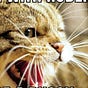 Mouser's avatar