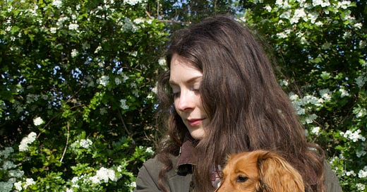 Becky O Cole | Substack