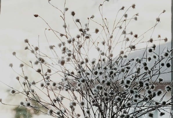 a vase of flowers sitting in front of a window