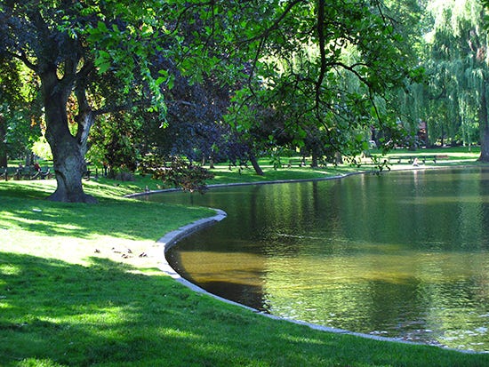 photo in the Boston Public Garden, by J. Hulsey