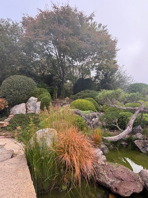 photo of meditation garden