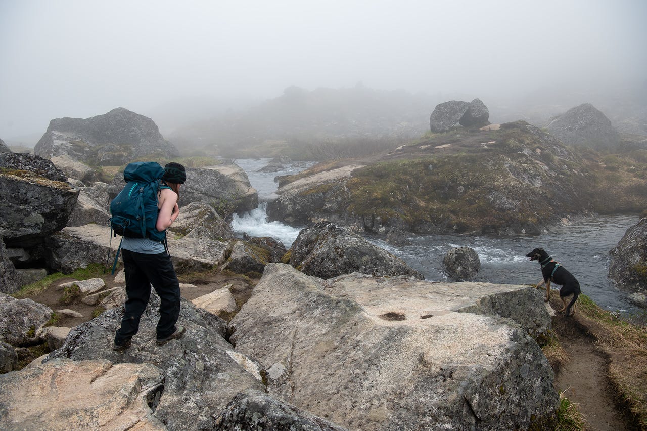 A hiker in a black beanie, tank top, and teal backpack stands on pale granite slabs, looking toward a small whitewater cascade where a creek pours between boulders. To the right, a black and tan dog in a harness climbs a dirt path up a rocky rise, mouth open mid-pant. Thick fog closes off the view beyond the creek, fading the farther boulders to grey silhouettes.