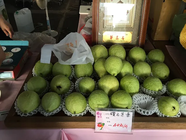 芭乐 芭乐