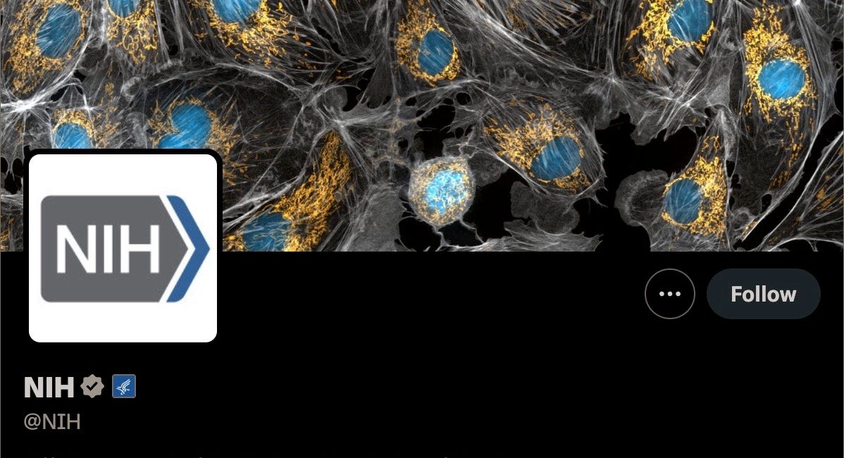 BOMBSHELL ADMISSION: National Institutes of Health Admits That IVERMECTIN Is A Repurposed ANTICANCER AGENT
