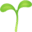 🌱 🌱