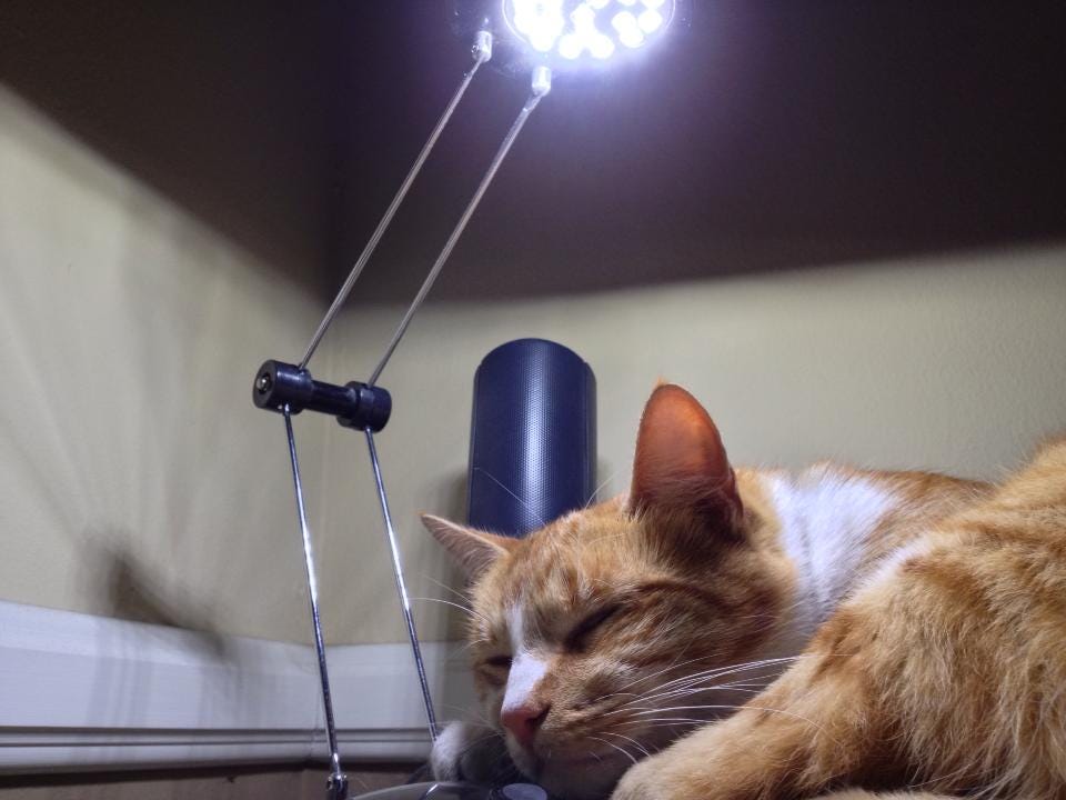 Lionheart lamp Lionheart lamp