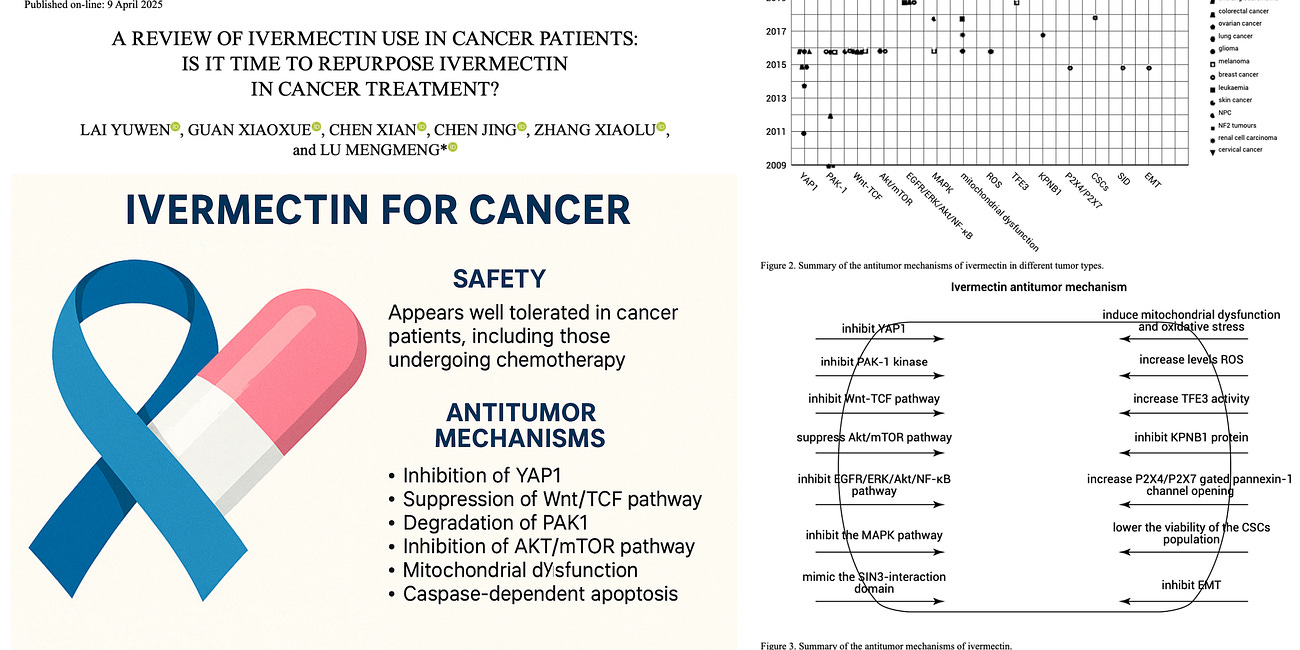 NEW STUDY – Ivermectin Shows Striking Anticancer Potential and Remarkable Safety