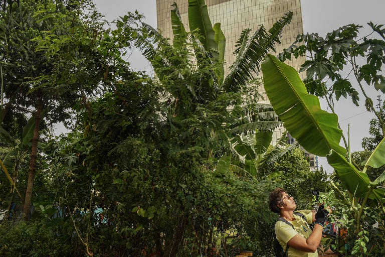 Mariana Marchesi cuida de um canteiro no largo da Batata, na região oeste de São Paulo 