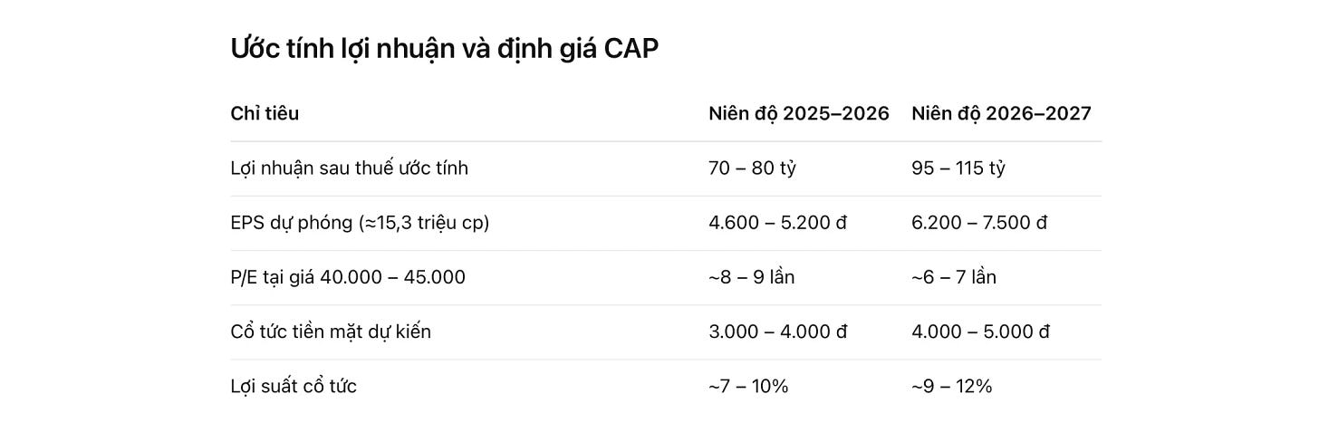 Ước tính lợi nhuận và định giá cổ phiếu CAP năm 2026
